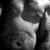 Profilbild von Saventos Loco